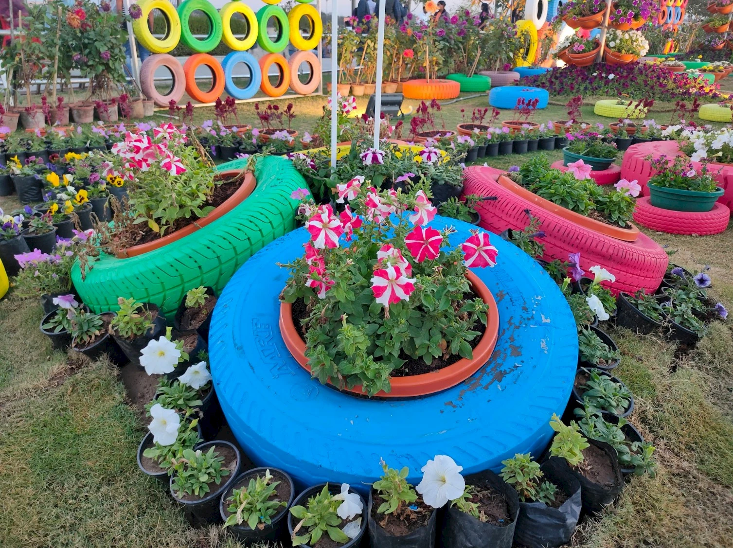 Colourfully painted tyres in a garden