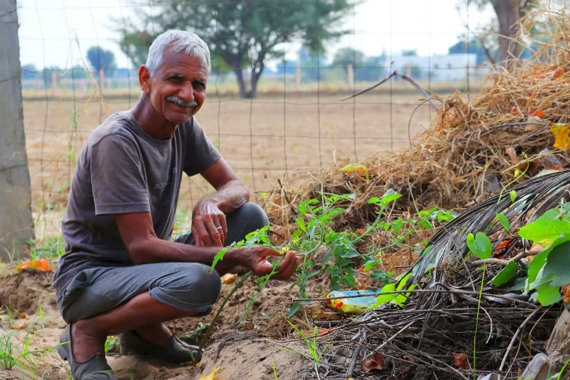A gardener squatting next to his vegetable bed